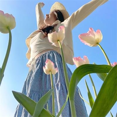 企鹅之岛：福克兰