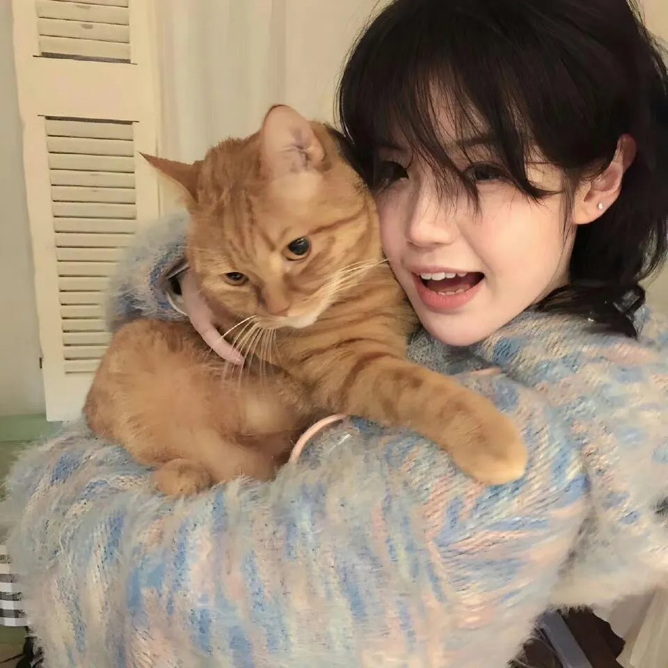 少年锦衣卫第二季