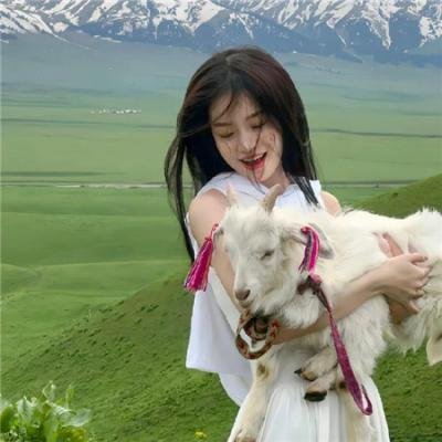 楚留香新传之兰花传奇